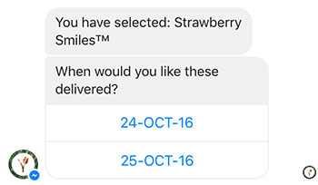 topbots_chatbots_9_1800flowers_restricted_options_web