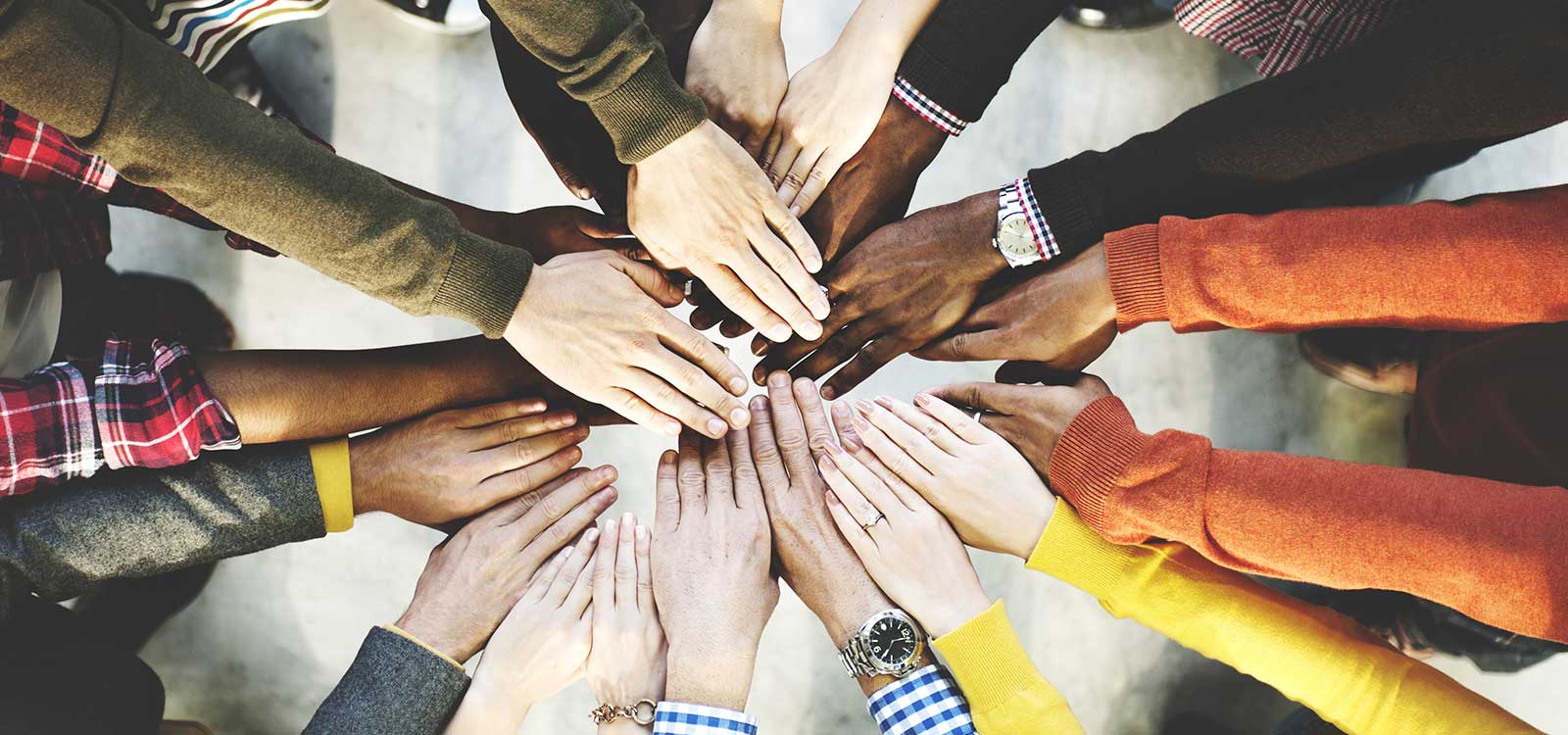 Algorithmic Bias & Homogenous Thinking In AI