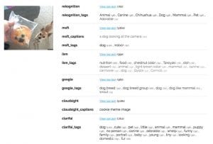 TOPBOTS Chihuahua Muffin Computer Vision API