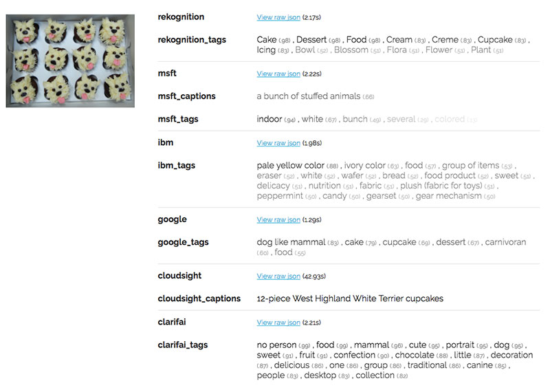 TOPBOTS Chimuffin Computer Vision API