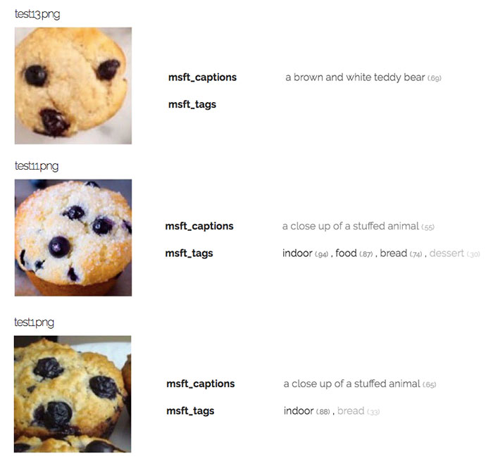 TOPBOTS Muffin Microsoft Computer Vision API