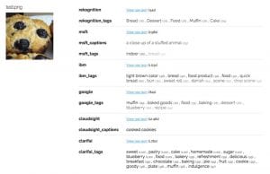 TOPBOTS Muffin Best Computer Vision API Test