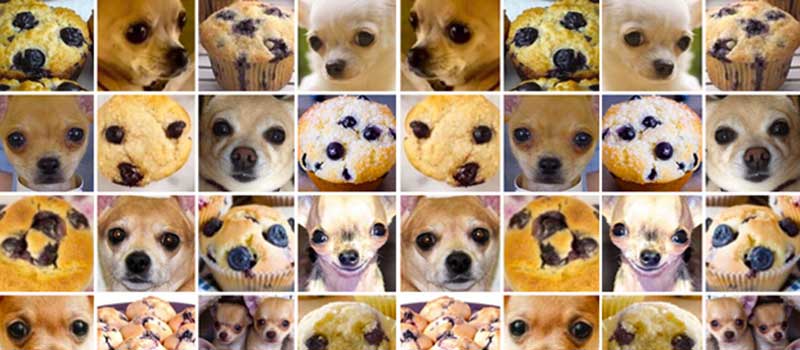 Chihuahua vs. Muffin Enterprise Computer Vision APIs Clarifai Google Cloud Rekognition Cloudsight