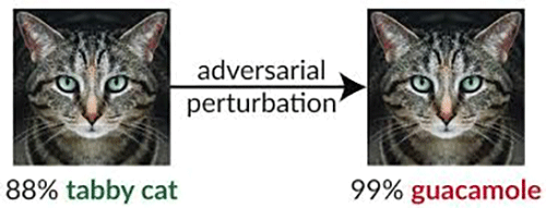 Adversarial Perturbation
