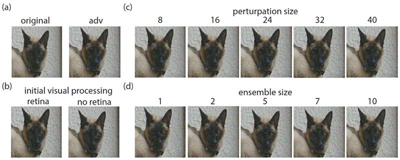 TOP Computer Vision Papers
