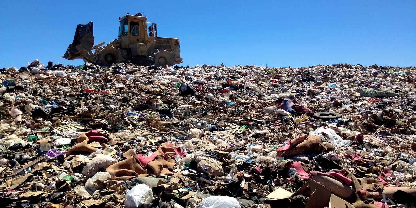 Intuitive Oscar AI For Zero Waste