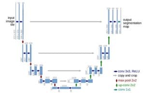UNet - semantic segmentation