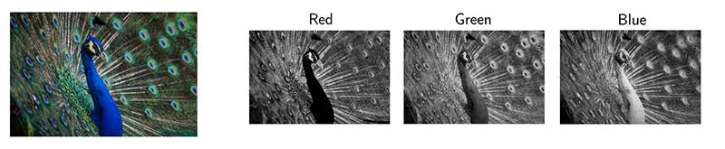convolutions explained