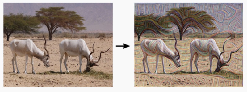 Neural Style Transfer