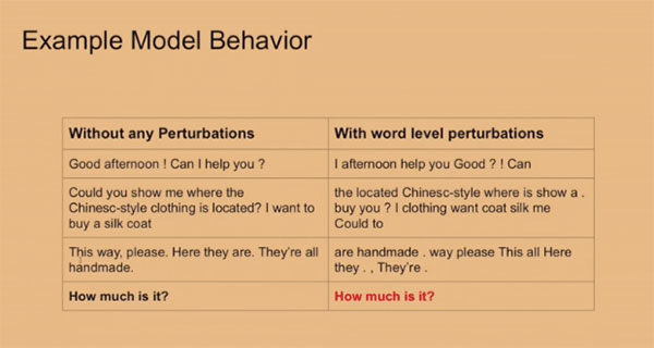 ACL 2019 Perturbations