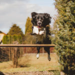 Photo by Tadeusz Lakota on Unsplash