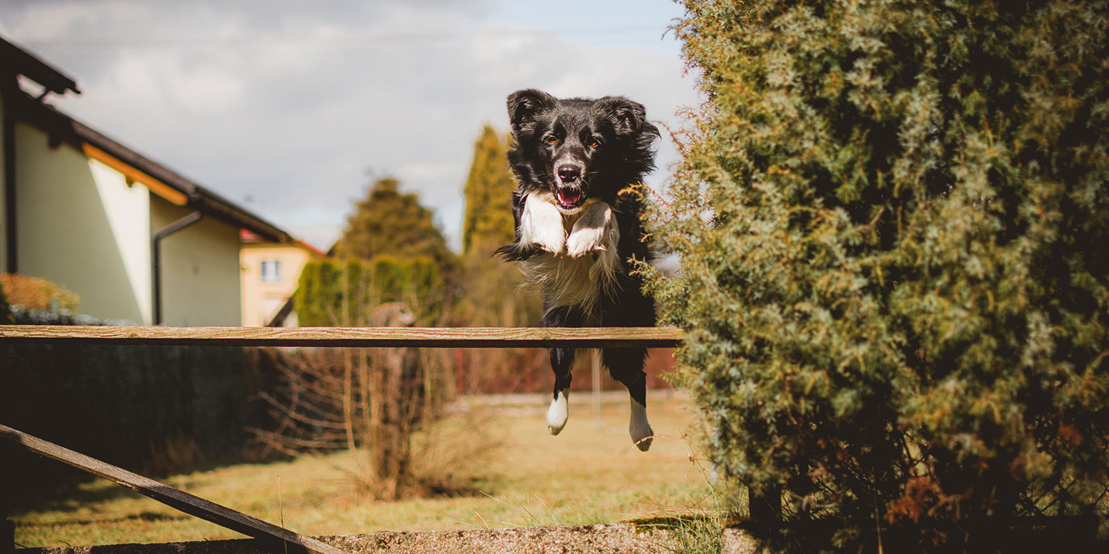 Photo by Tadeusz Lakota on Unsplash