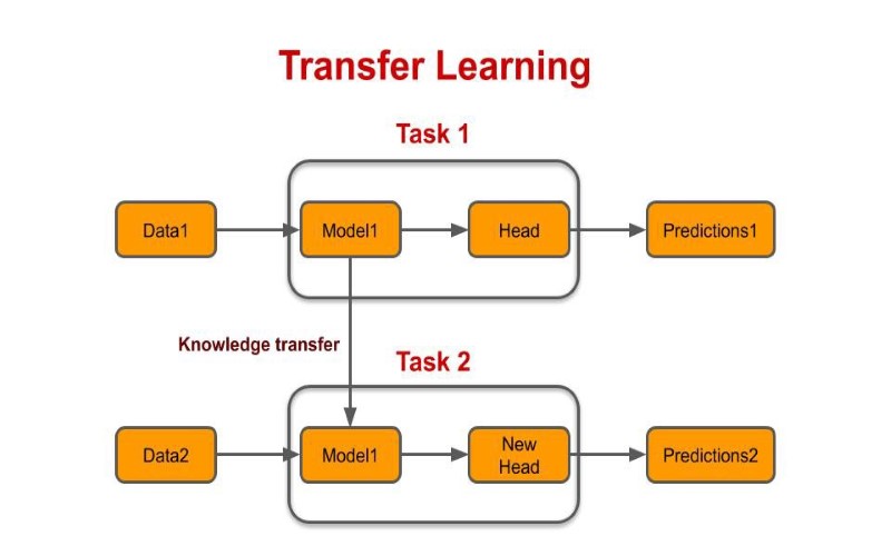 Transfer Learning in NLP