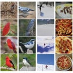 Image Synthesis - ImageGAN