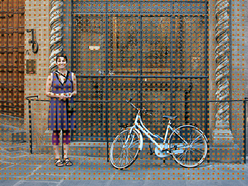 object detection, instance segmentation