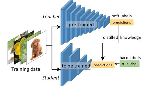  ML model in production
