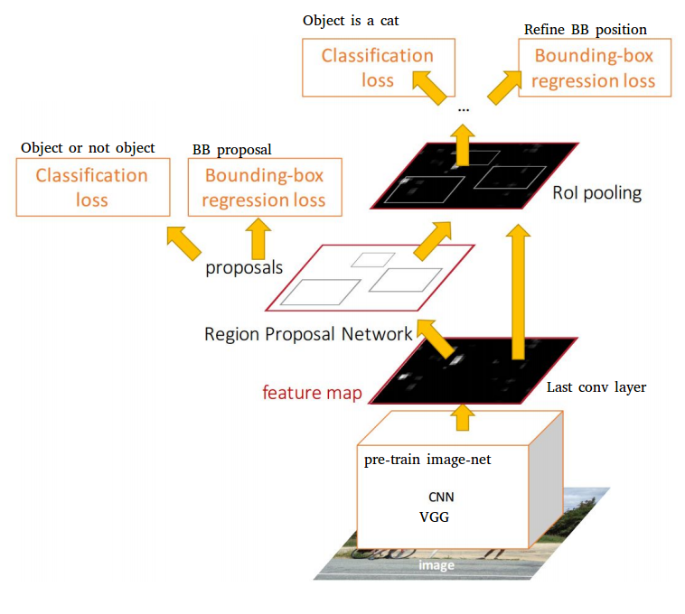 object detection, instance segmentation