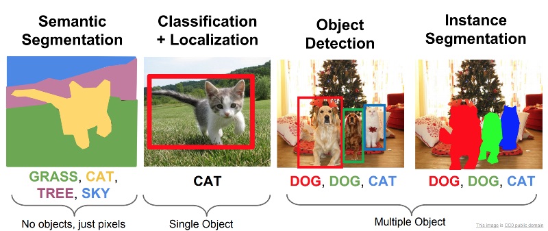  object detection, instance segmentation