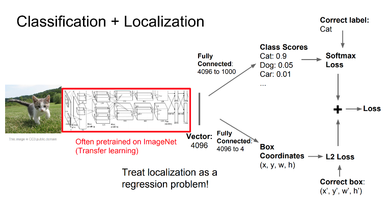  object detection, instance segmentation