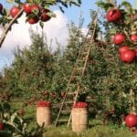 ML model in production