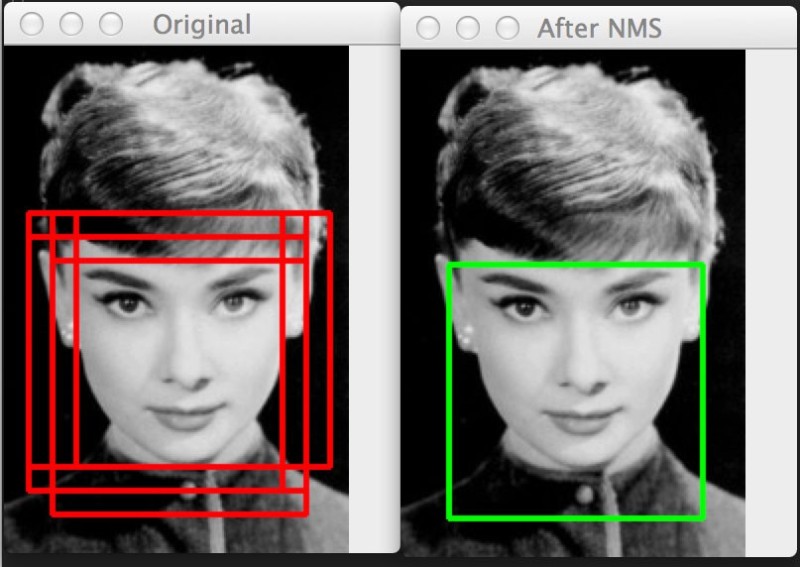  object detection, instance segmentation