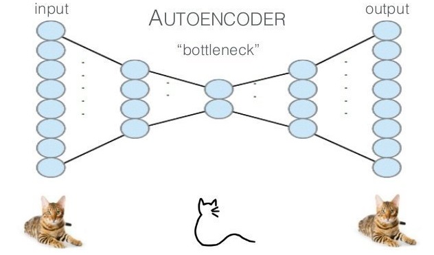 AI for portfolio management