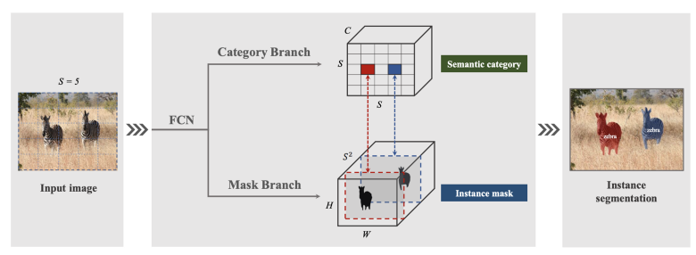 instance segmentation