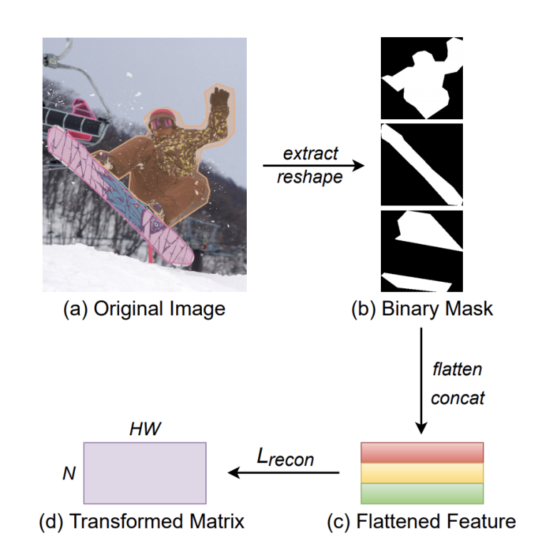 instance segmentation