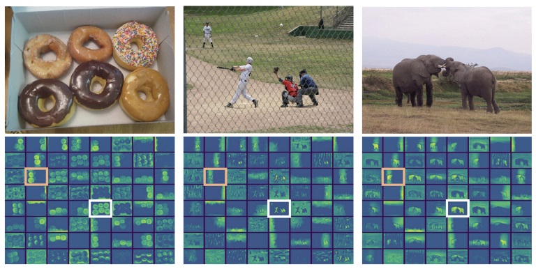 instance segmentation