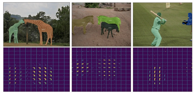 instance segmentation