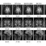 ICML 2020 Best Papers
