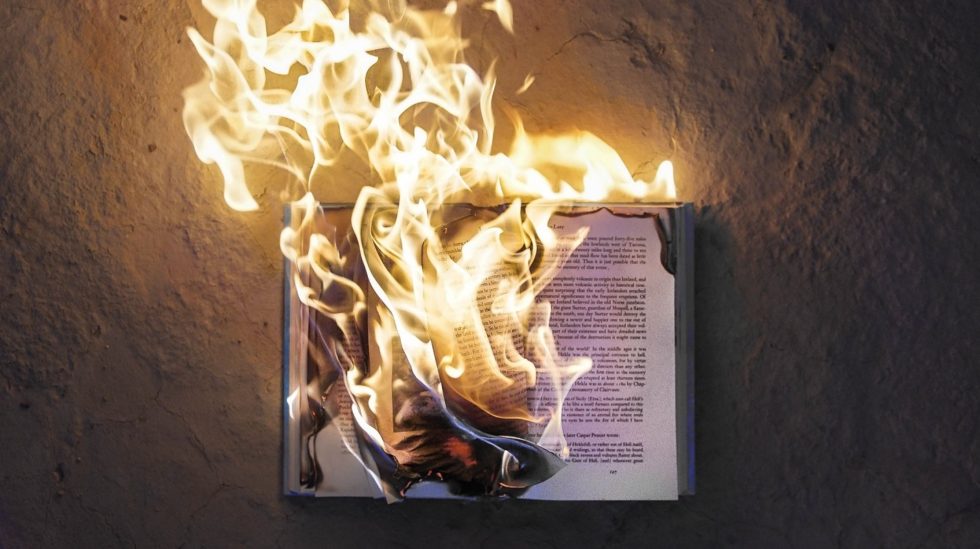 BERT and neuroscience