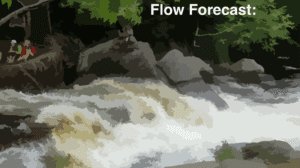 time series forecasting