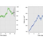 Bayesian diffusion modeling