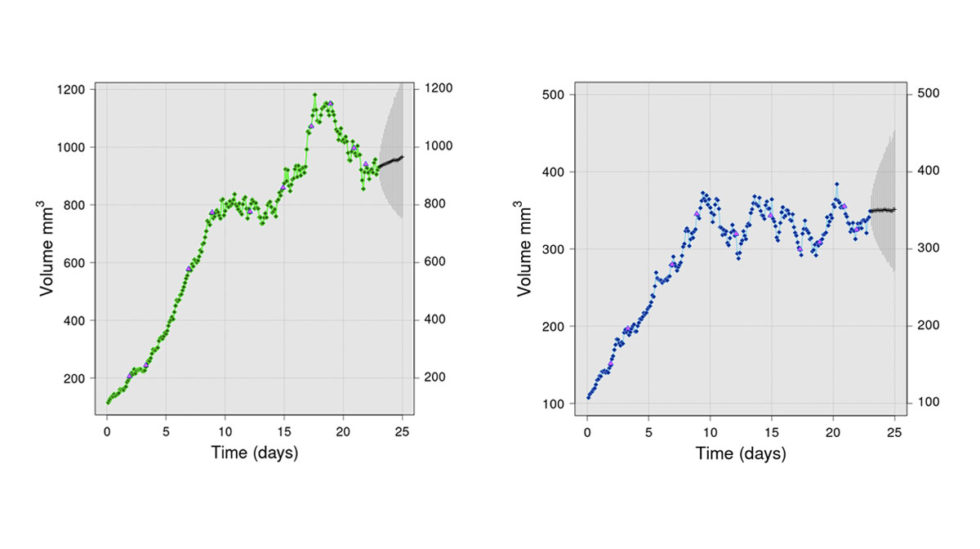 Bayesian diffusion modeling