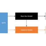 shapely values in marketing