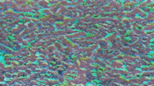 text-to-art generator