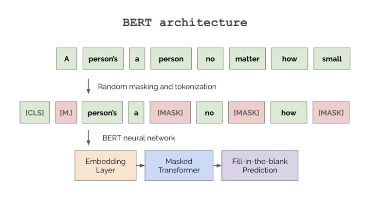 BERT architecture